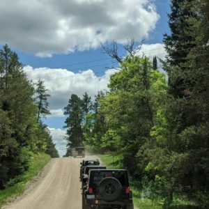 Line of 4-wheel-drive vehicles on a dirt road with lots of trees